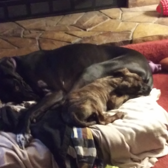 Meet your Posher, Juli - Picture 3 of 4